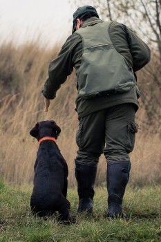 Самостоятельная натаска и дрессировка собаки
