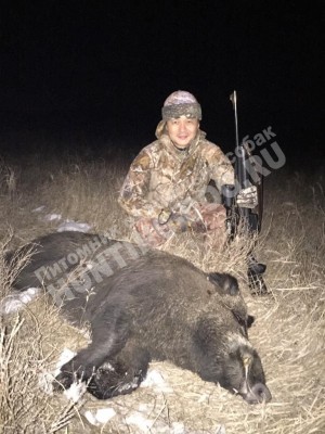 Охота, трофеи