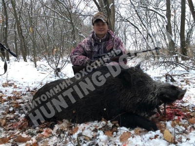 Охота с дратхааром, трофеи