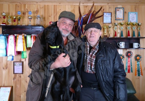 Щенок курцхаара Гера отправляется домой после подращивания в питомнике