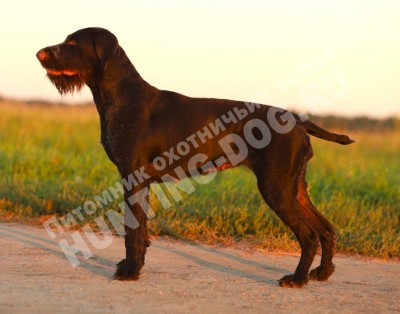 Мать Дакота вом Эфеус Хоф