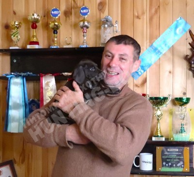 Щенок курцхаар Тайра