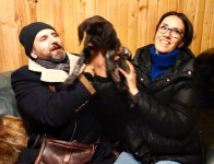 Передали щенка дратхаара новым хозяевам