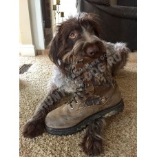 Коррекция поведения собаки Коррекция поведения собаки