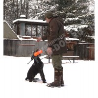 Курс апортировки Курс апортировки