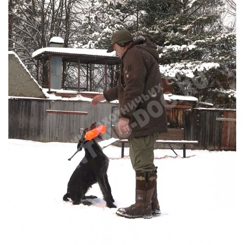 Курс апортировки Курс апортировки