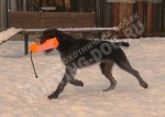Обучение аппортировке в питомнике Hunting-dog
