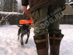 Обучение аппортировке в питомнике Hunting-dog