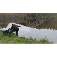 Подготовка к породным тестам Подготовка к породным тестам