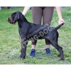 Услуги хендлера Услуги хендлера